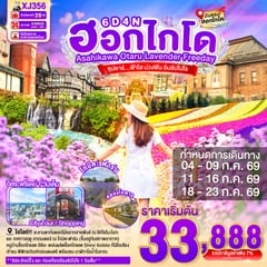 Gallery 0